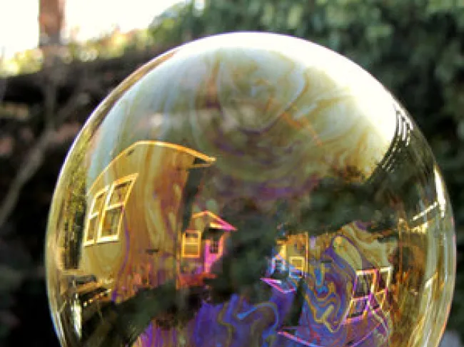 Daily Sept 25 bubble